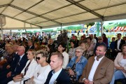 Zdjęcie z galerii